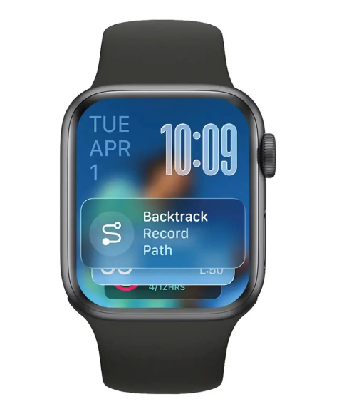 Green Lion Dynamic Duo Ultimate 41 Smartwatch, 1.75 inches IPS Display + Earbuds Pro 2, Black, GNDYDUOSWBUD