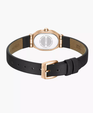 Cerruti Aosta Black Dial Genuine Leather Strap Analog Watch for Women