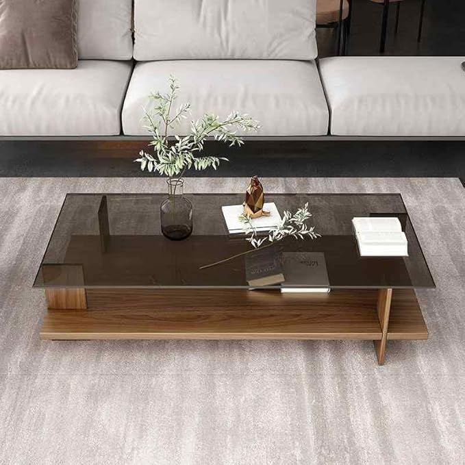 DAYONG 2-Tier Coffee Table, 100 * 50 * 40CM Center Tea Table, Glass Coffee Table with Wooden Base for Living Room Office Apartment Hotel