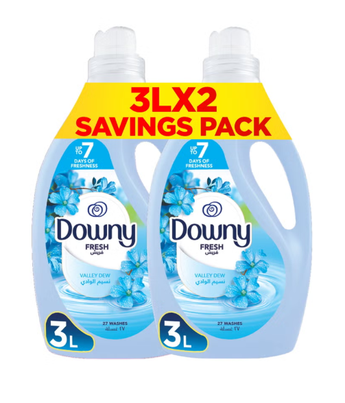 Valley Dew Dual Pack Regular Fabric Softener Dilute